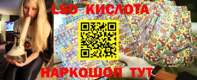 гашик Бердск