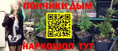 прущие грибы Белорецк