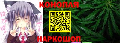 гашик Бердск