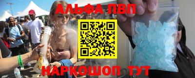 гашик Бердск