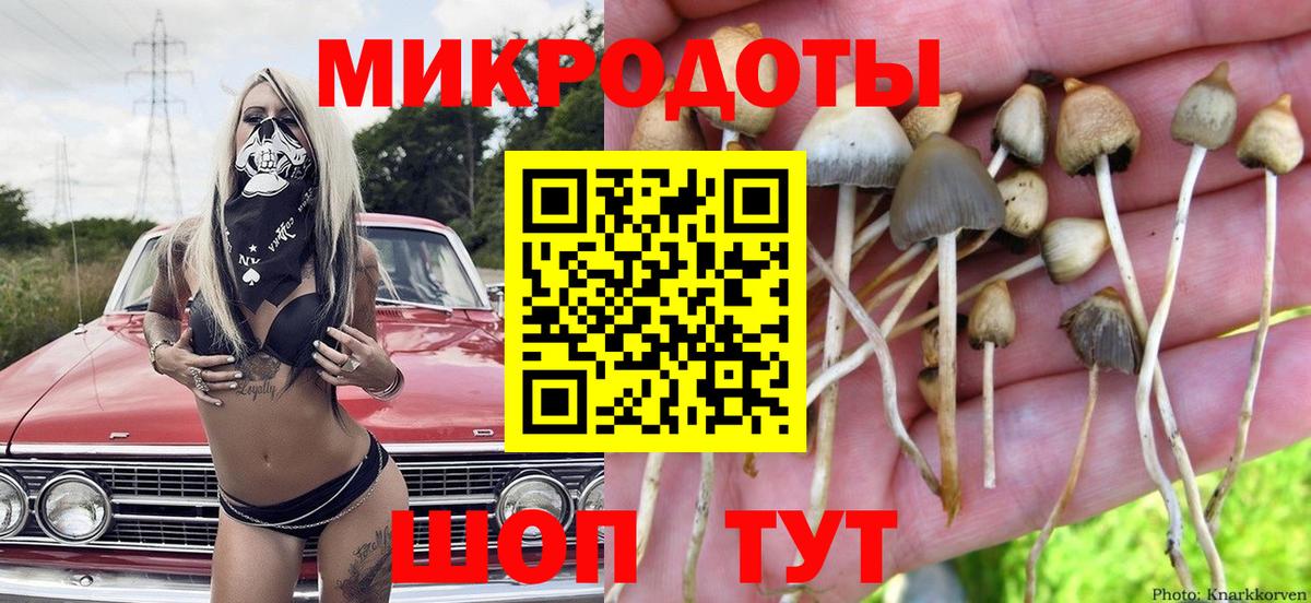Галлюциногенные грибы MAGIC MUSHROOMS Белореченск