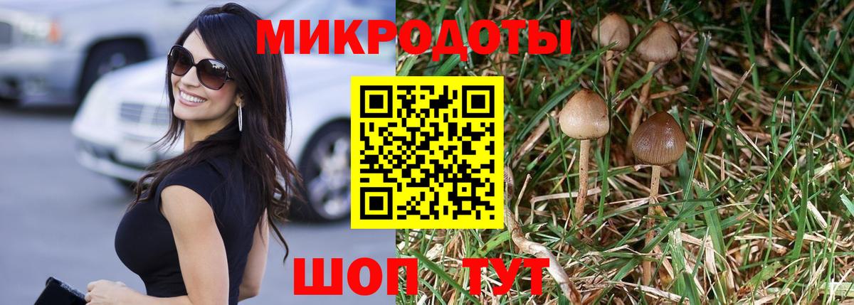Галлюциногенные грибы Psilocybine cubensis  Вход с VPN  что такое наркотик  Галлюциногенные грибы Psilocybe  Белореченск 